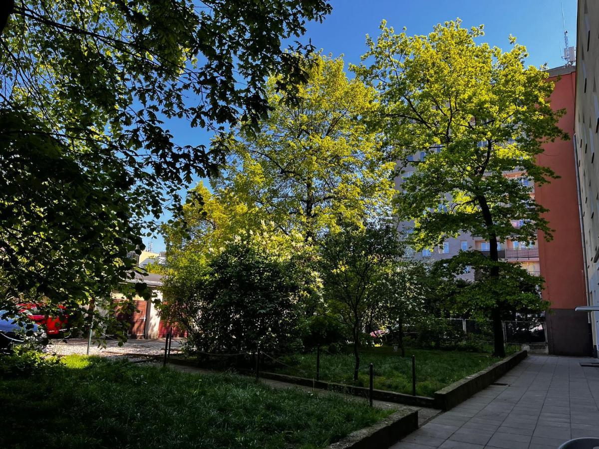 Studio Close To Royal Lazienki Park, Недалеко От Олинек Варшава Экстерьер фото